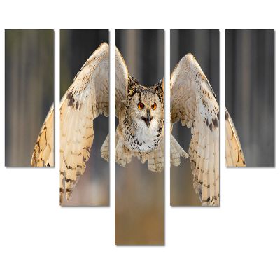 80 x 42 TOTAL - Siberian Eagle Owl Canvas Print Wall Art - 5 Panel Waterfall split. Home Wall Decor Bird Art