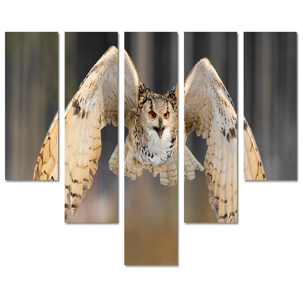 80 x 42 TOTAL - Siberian Eagle Owl Canvas Print Wall Art - 5 Panel Waterfall split. Home Wall Decor Bird Art