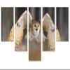 80 x 42 TOTAL - Siberian Eagle Owl Canvas Print Wall Art - 5 Panel Waterfall split. Home Wall Decor Bird Art view 1