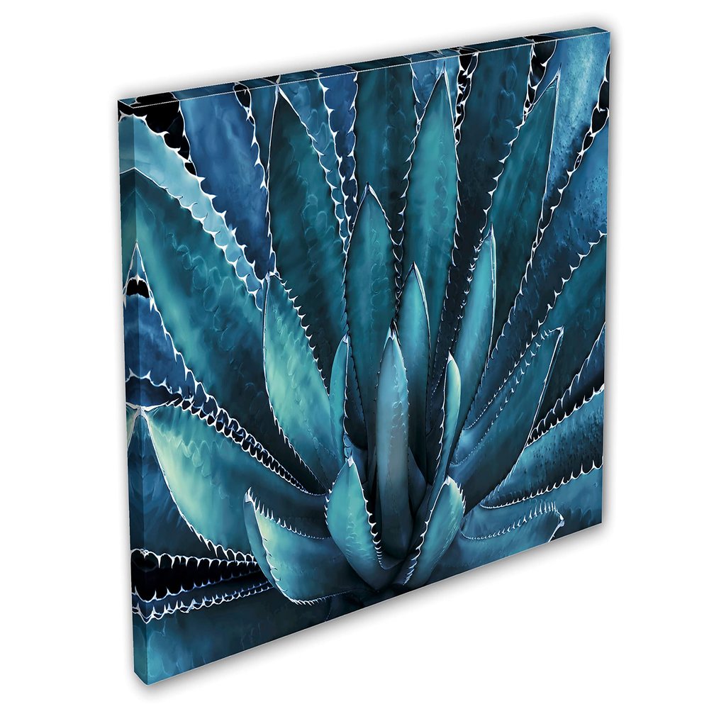 48 x 32 - Agave Plant Canvas Print Wall Art Aegean Blue Botanical Art, tequilana plant