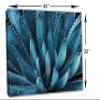 48 x 32 - Agave Plant Canvas Print Wall Art Aegean Blue Botanical Art, tequilana plant view 3