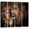 64 x 40 TOTAL - Roaring lion and lioness Wall Art Canvas Print 4 Panel Split Lion & Lioness Art, Animal Art Print view 1