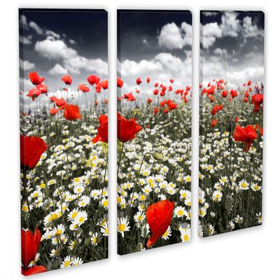 24 x 16 TOTAL - Poppies in field Canvas Print - 3 Panel Split, Triptych Wall Art