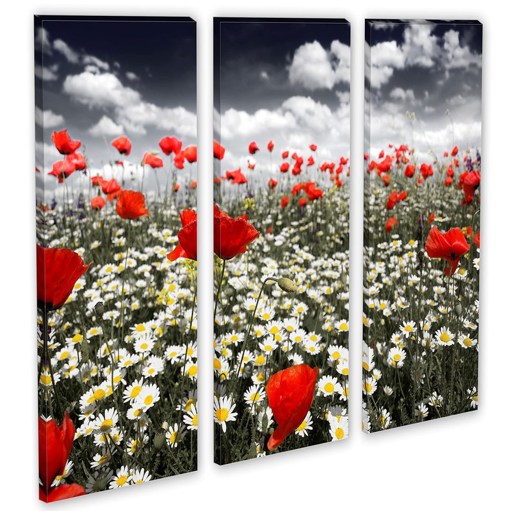 24 x 16 TOTAL - Poppies in field Canvas Print - 3 Panel Split, Triptych Wall Art