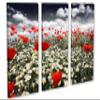 24 x 16 TOTAL - Poppies in field Canvas Print - 3 Panel Split, Triptych Wall Art view 1