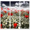 24 x 16 TOTAL - Poppies in field Canvas Print - 3 Panel Split, Triptych Wall Art view 2
