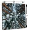 24 x 16 - Cedars Trees Canvas Print Wall Art Abstreact Tree Forest Art Print view 3