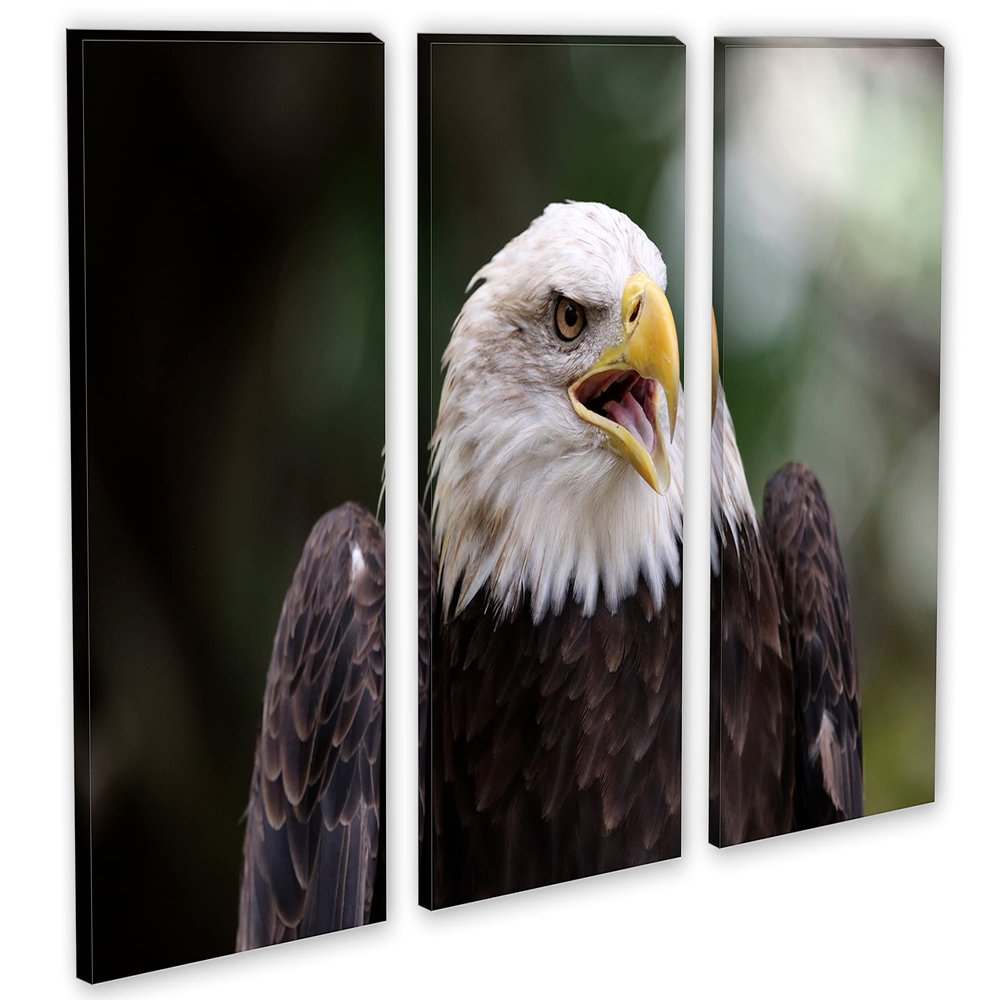 60 x 40 TOTAL - American Bald Eagle Canvas Print Wall Art 3 panel split, Triptych Home Wall Decor interior design