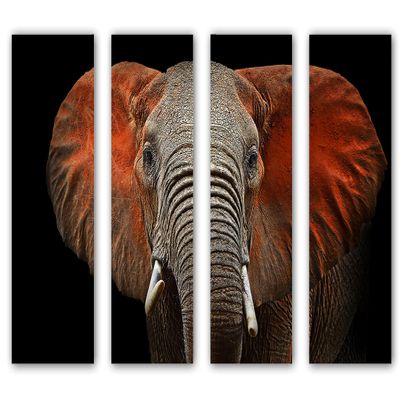 32 x 20 TOTAL - African Elephant Canvas Print Wall Art. 4 Panel Split. Room wall decor. Red ears