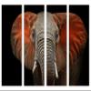 32 x 20 TOTAL - African Elephant Canvas Print Wall Art. 4 Panel Split. Room wall decor. Red ears view 2