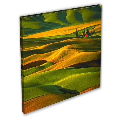 24 x 16 - Palouse Wall Art Canvas Print Steptoe Butte State park, Washington farms