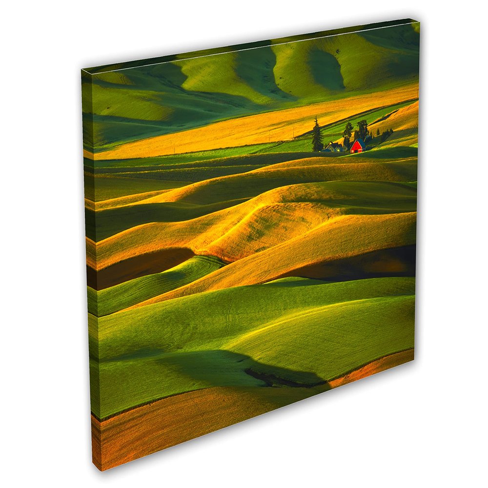 24 x 16 - Palouse Wall Art Canvas Print Steptoe Butte State park, Washington farms