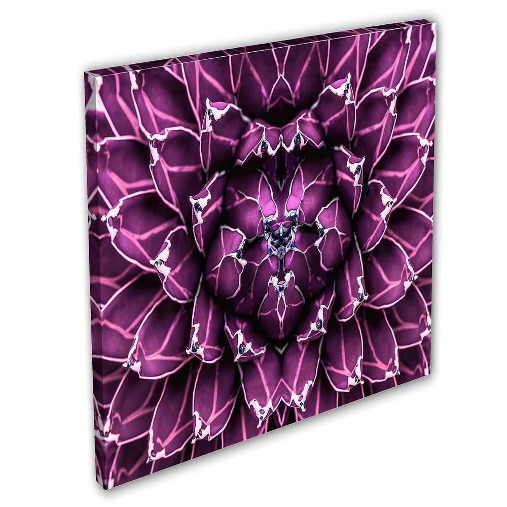 48 x 32 - Agave closeup Canvas Print Wall Art Purple botanical cactus flower plant