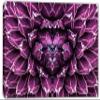 48 x 32 - Agave closeup Canvas Print Wall Art Purple botanical cactus flower plant view 2