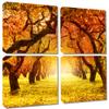 20 x 20 TOTAL - Fall Autumn Park, Tree Path - Canvas Print. 4 Panel Split (Quad) Wall Art view 1