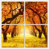 20 x 20 TOTAL - Fall Autumn Park, Tree Path - Canvas Print. 4 Panel Split (Quad) Wall Art view 2