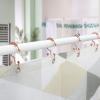 Shower Curtain Hooks, Goowin Shower Curtain Rings, Stainless Steel Shower Curtain Hooks Rust Proof Free Sliding Double Shower Hooks for Curtain, Shower Curtains & Liners (Rose Gold) view 2