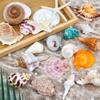 JQAQJU Sea Shells Mixed Beach Seashells 20 Kinds, 1.5"-5.5" Various Sizes Large Ocean Shells Conch 2 Kinds Natural Starfish for Decorating Beach Theme Party Fish Tank Filling Home Decor Wedding view 3
