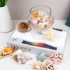 JQAQJU Sea Shells Mixed Beach Seashells 20 Kinds, 1.5"-5.5" Various Sizes Large Ocean Shells Conch 2 Kinds Natural Starfish for Decorating Beach Theme Party Fish Tank Filling Home Decor Wedding view 4