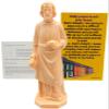 St Joseph Statue Home Selling Kit with Magnetic Holy Card for Refrigerator view 1