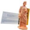 St Joseph Statue Home Selling Kit with Magnetic Holy Card for Refrigerator view 3