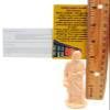 St Joseph Statue Home Selling Kit with Magnetic Holy Card for Refrigerator view 4