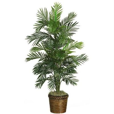 56 Inch Areca Palm Silk Tree with Basket