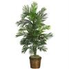 56 Inch Areca Palm Silk Tree with Basket view 1