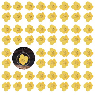 60PCS Yellow Dried Pressed Pansy Flowers for Resin, Natural Real Dry Pansy Flower for Resin Mold Jewelry Candle Card Soap Making Scrapbooking DIY Art Crafts Painting Decoration
