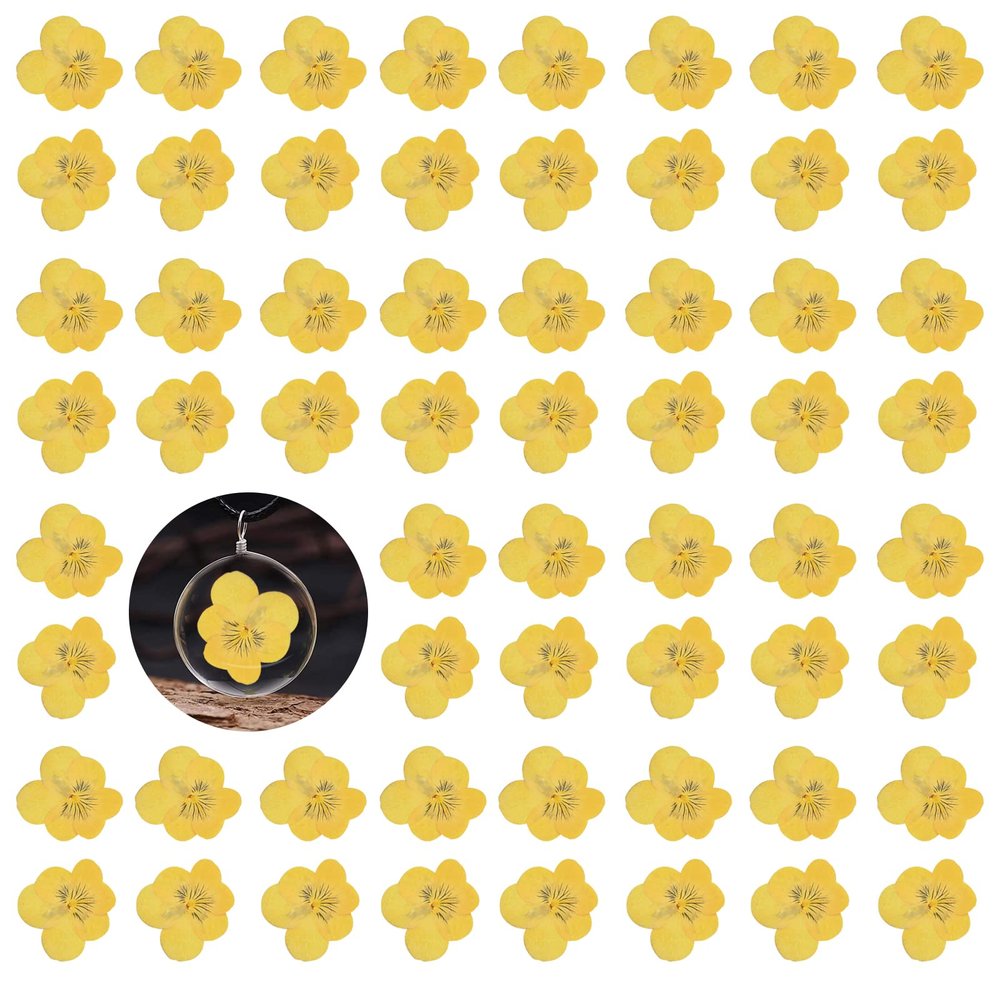 60PCS Yellow Dried Pressed Pansy Flowers for Resin, Natural Real Dry Pansy Flower for Resin Mold Jewelry Candle Card Soap Making Scrapbooking DIY Art Crafts Painting Decoration