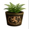 Glen Appin Stoneware Plant Pots Succulent Plants Pottery Scotland Flower Pots Scottish Gift 1.5 fl oz(44ml) view 1
