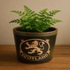 Glen Appin Stoneware Plant Pots Succulent Plants Pottery Scotland Flower Pots Scottish Gift 1.5 fl oz(44ml) view 2