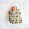 Alphabet Dinosaur Print Blanket for Boys Girls, Soft Kid Throw Blanket, Lightweight Flannel Fleece Dinosaur Blanket for Teens Adults, Dino Blanket for Bed Sofa Camping Twin Blanket 60x80 Inches view 3