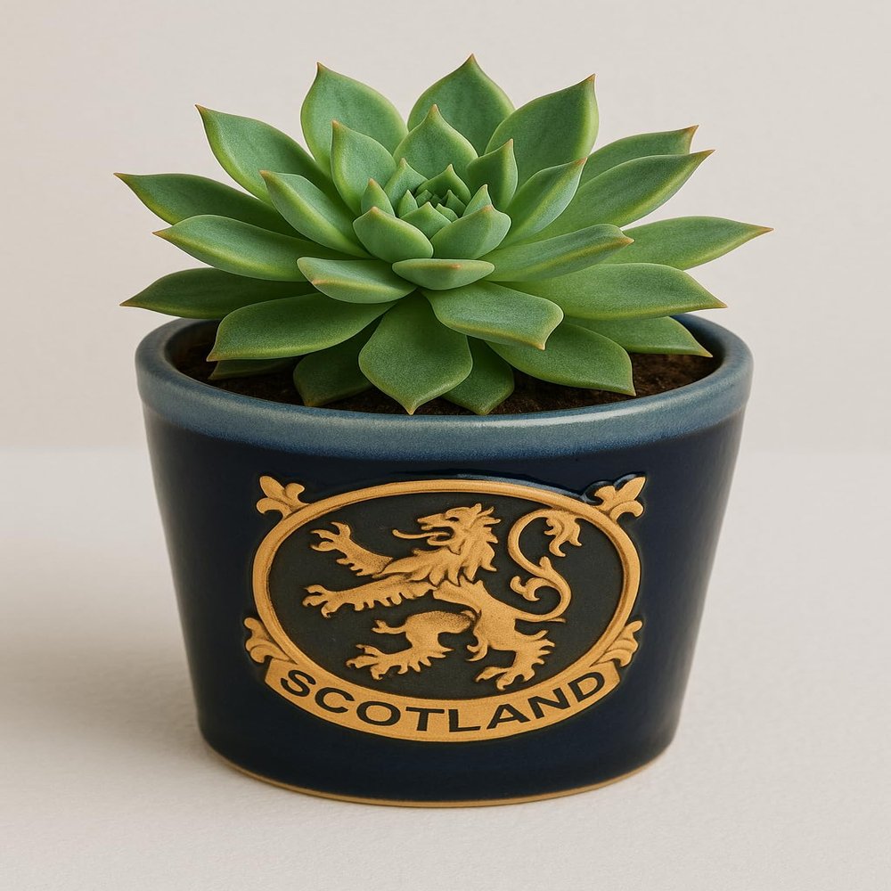 Stoneware Plant Pots Succulent Plants Pottery Scotland Flower Pots 44ml