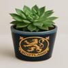 Stoneware Plant Pots Succulent Plants Pottery Scotland Flower Pots 44ml view 1