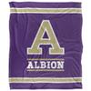 Albion College Blanket, 50"x60" Primary Logo, Silky Touch Super Soft Throw Blanket view 2