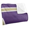 Albion College Blanket, 50"x60" Primary Logo, Silky Touch Super Soft Throw Blanket view 3