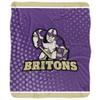 Albion College Blanket, 50"x60" Logo Dots, Silky Touch Sherpa Back Super Soft Throw Blanket view 2