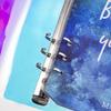 Maniology Iridescent Nail Stamping Plate Organizer Binder | Snap Closure Storage Holder with Sheer White Pockets, 10 Insert Pages + 6 Dividers, Holds Up to 60 Stamping Plates view 4