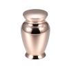 SHEIL Pet/Human Ashes Urn Large Space Keepsake for Ashes Jewelry Memorial Urn Funeral Casket Urn view 1