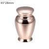 SHEIL Pet/Human Ashes Urn Large Space Keepsake for Ashes Jewelry Memorial Urn Funeral Casket Urn view 2