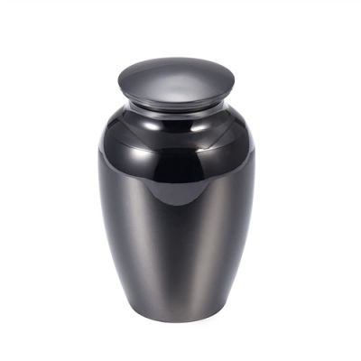 SHEIL Pet/Human Ashes Urn Large Space Keepsake for Ashes Jewelry Memorial Urn Funeral Casket Urn