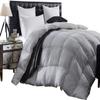 3 Piece Baffle Box Stitched Queen (88'' x 92'') Comforter for Queen Light Grey Solid 100% Egyptian Cotton 600 GSM Fill Power All Season Lightweight view 1