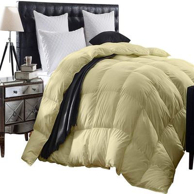3 Piece Baffle Box Stitched Queen (88'' x 92'') Comforter for Queen Ivory Solid 100% Egyptian Cotton 600 GSM Fill Power All Season Lightweight