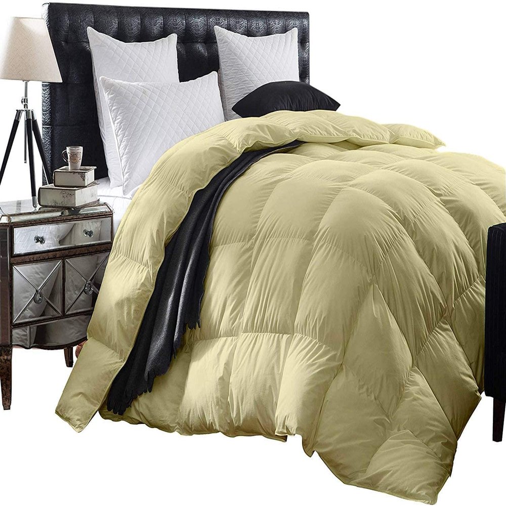 3 Piece Baffle Box Stitched Queen (88'' x 92'') Comforter for Queen Ivory Solid 100% Egyptian Cotton 600 GSM Fill Power All Season Lightweight