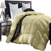 3 Piece Baffle Box Stitched Queen (88'' x 92'') Comforter for Queen Ivory Solid 100% Egyptian Cotton 600 GSM Fill Power All Season Lightweight view 1