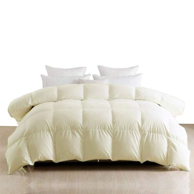 LinenEra Olympic Queen (98'' x 98'') Cotton 600 GSM 1 Piece Box Stitched Olympic Queen Duvet Insert Quilted Down Alternative All Season Corner Tabs Ivory Comforter