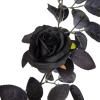 Artificial Black Rose Vine, Halloween Flower Garland with Red Roses and Golden Berries, Black Leaves Garland, Hanging Floral Garland for Halloween Home Wall Decorations,5.9 Ft (2pcs) view 3