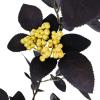 Artificial Black Rose Vine, Halloween Flower Garland with Red Roses and Golden Berries, Black Leaves Garland, Hanging Floral Garland for Halloween Home Wall Decorations,5.9 Ft (2pcs) view 4