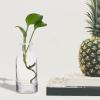 Hemoton 2pcs Glass Flower Vase Decorative Plant Container for for Hydroponic Flowers Smooth Edges Chic Centerpiece Decor view 4